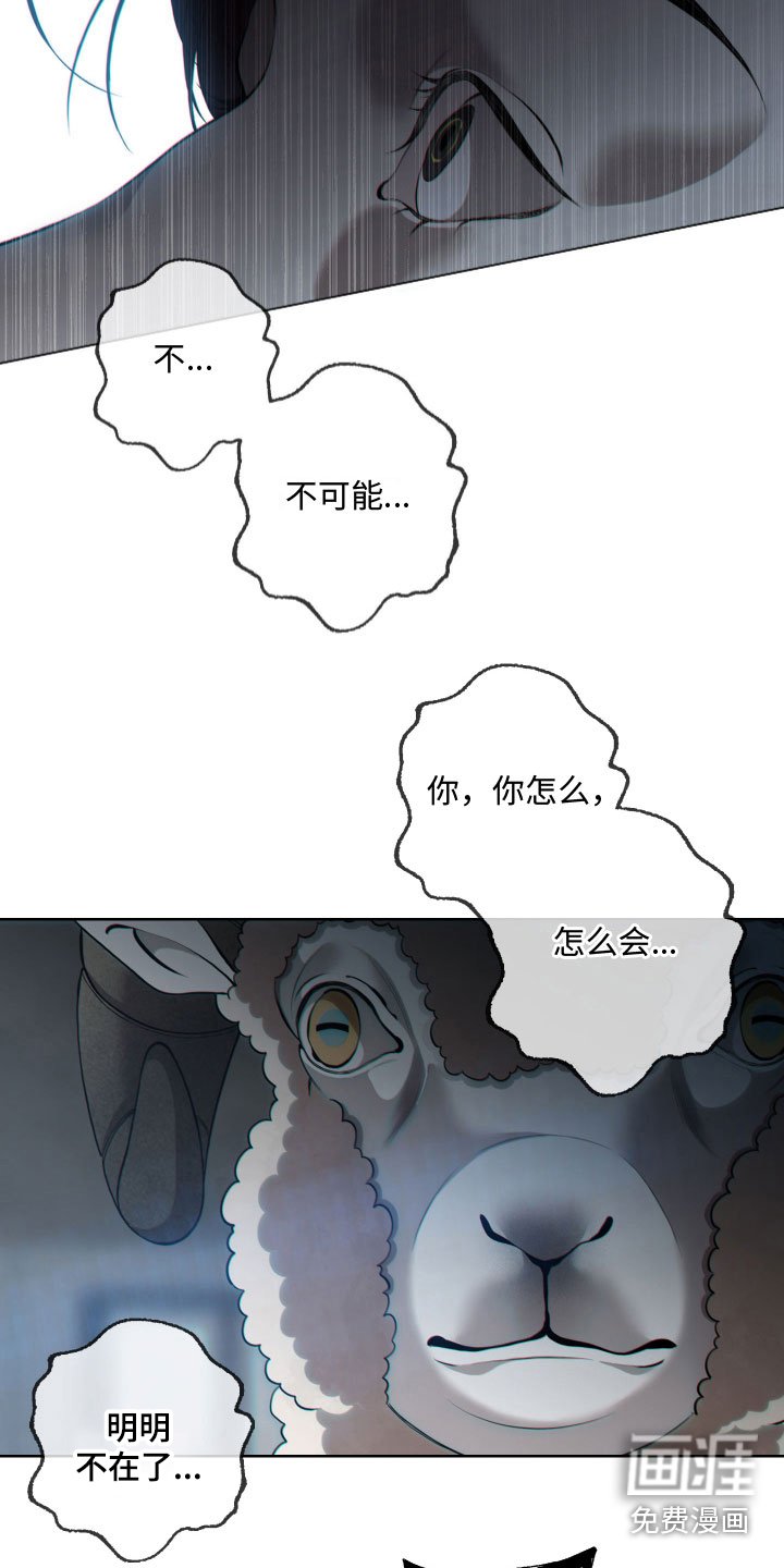 第26章：新羊头