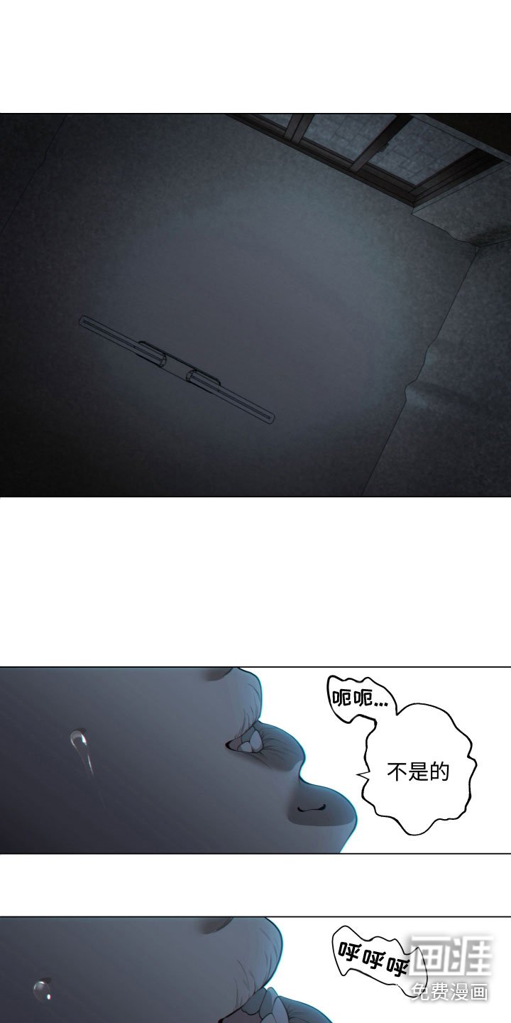 第26章：新羊头