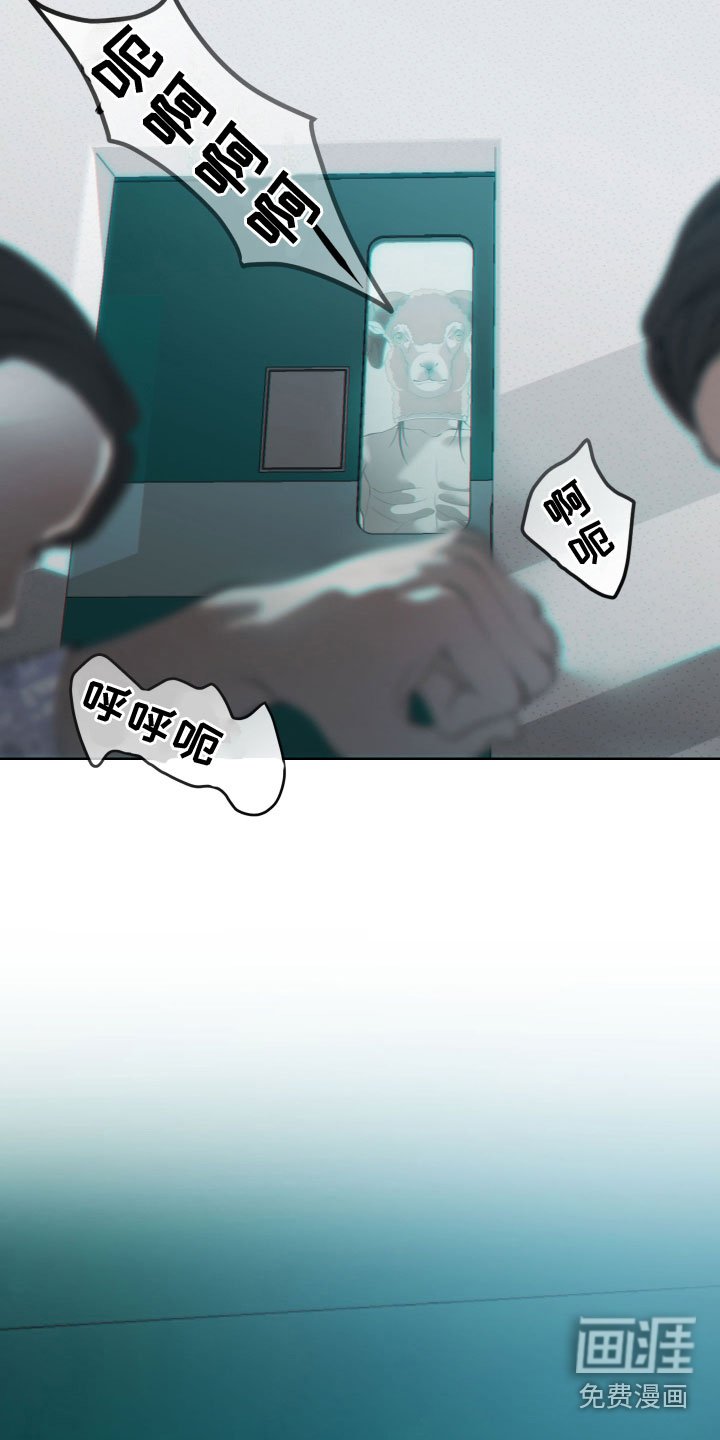 第27章：崩溃（完结）