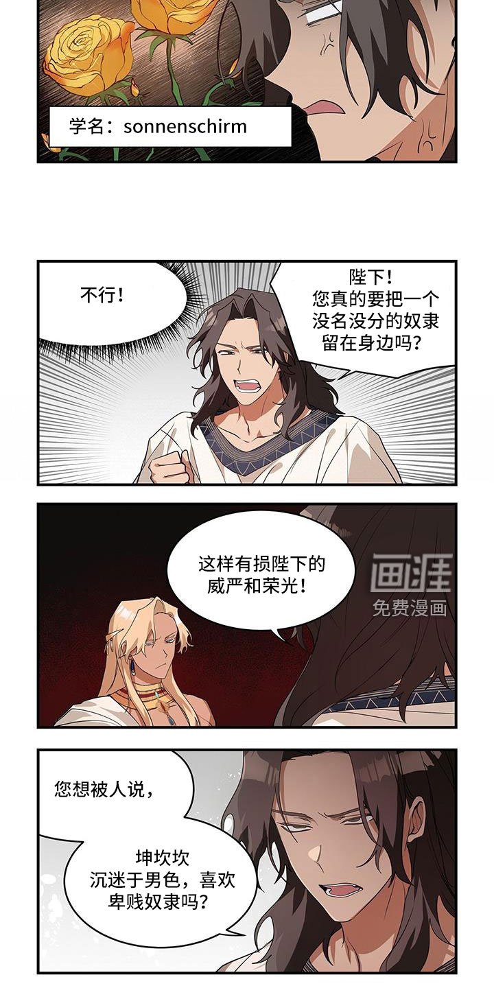 第31章：不能被爱吗