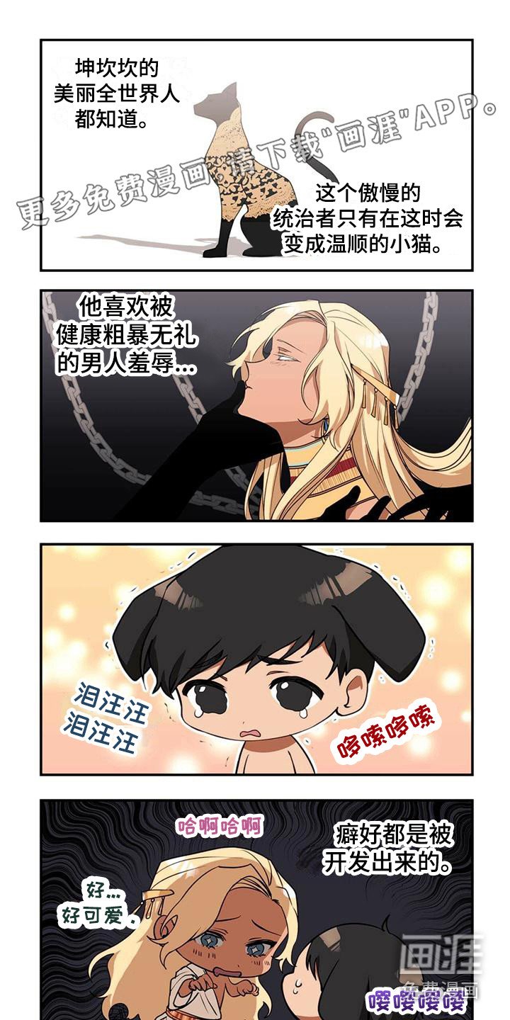 第5章：反抗