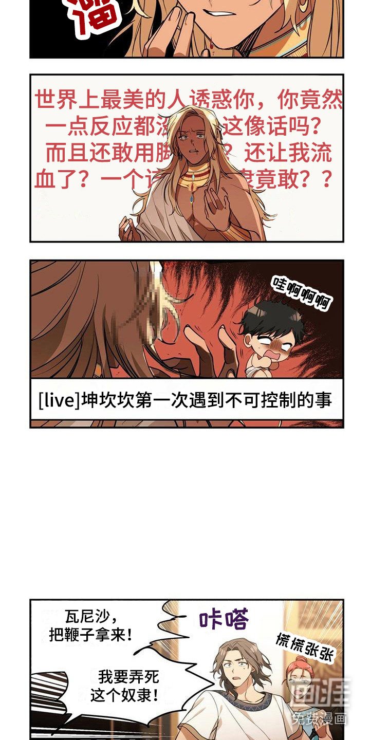 第5章：反抗