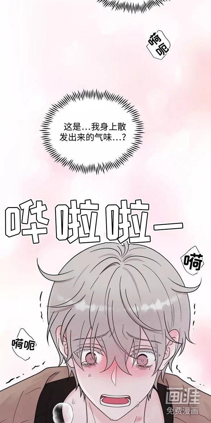 第15章：不孕