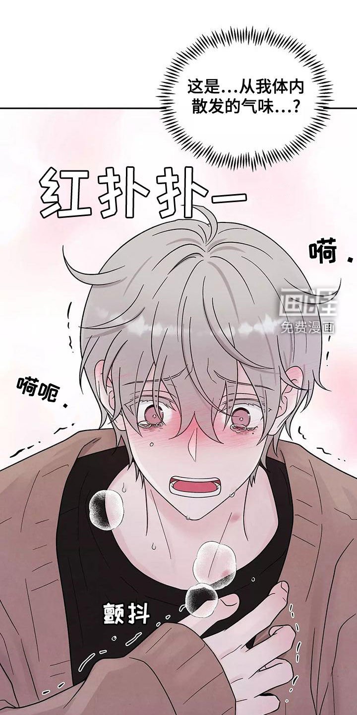 第16章：发烧