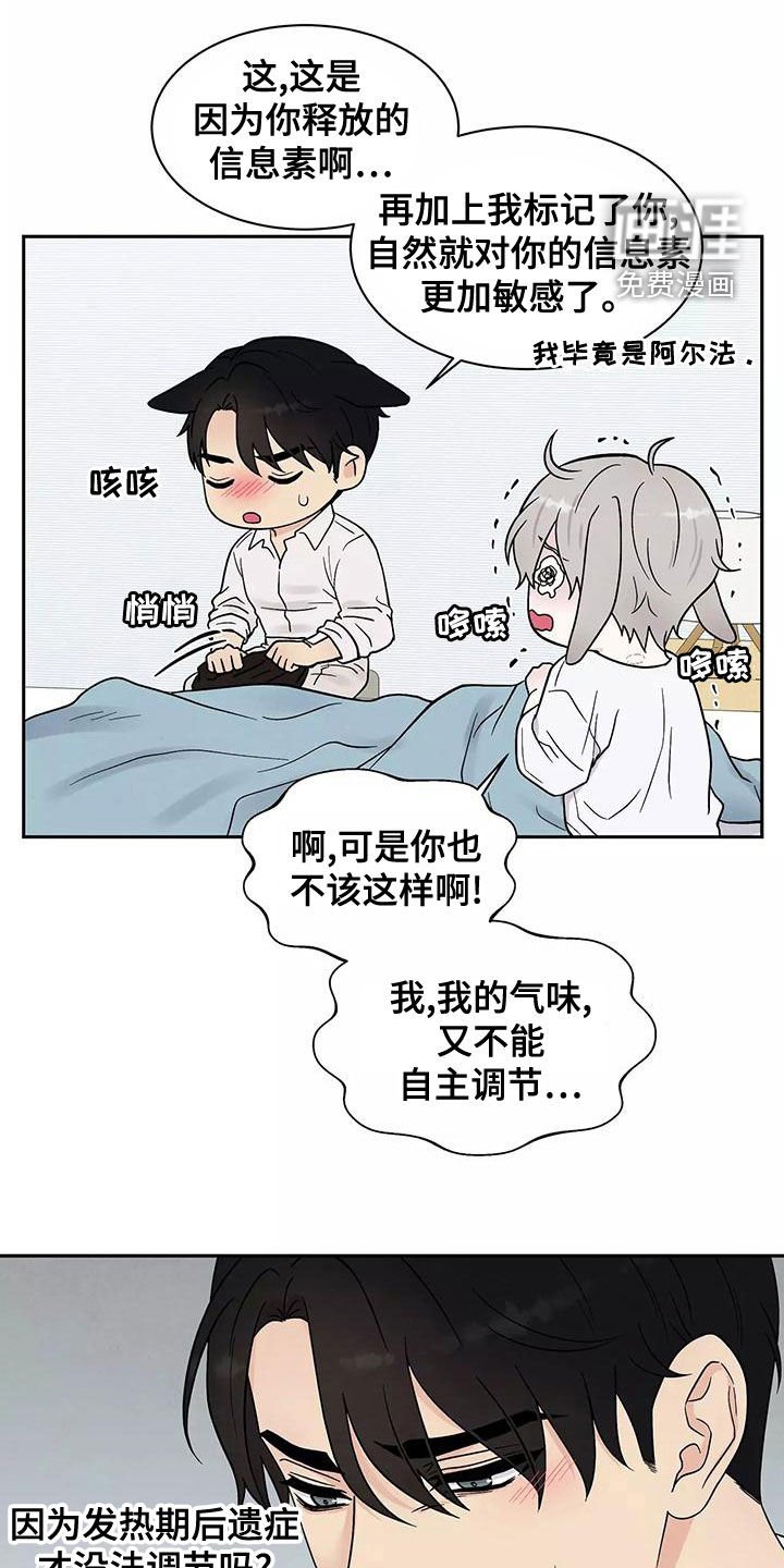 第17章：最好的处方