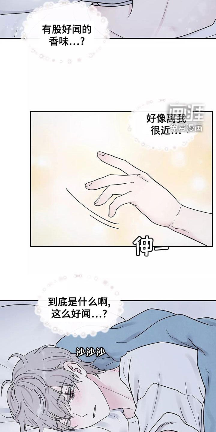 第19章：奶奶的味道