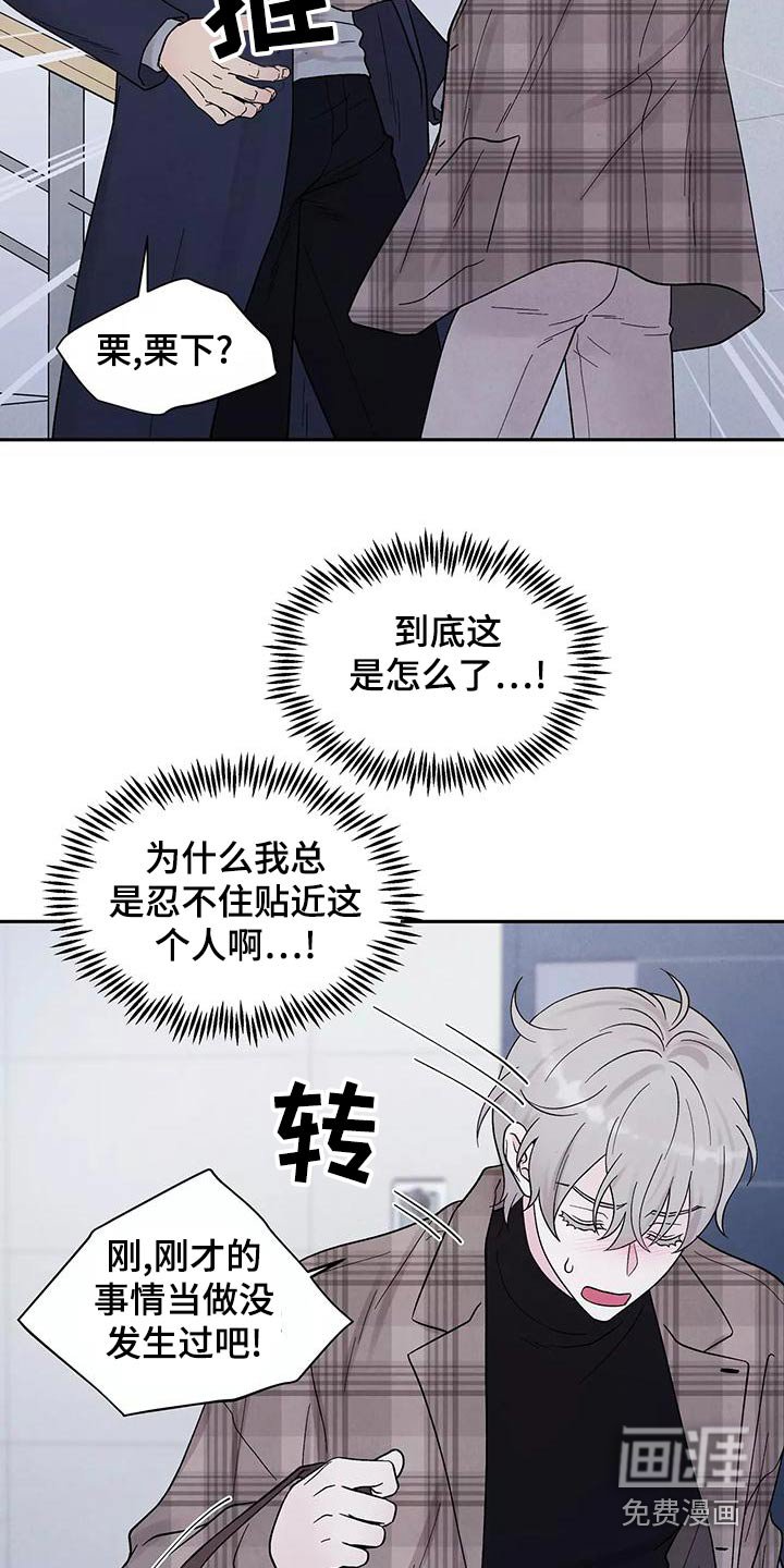 第29章：了结