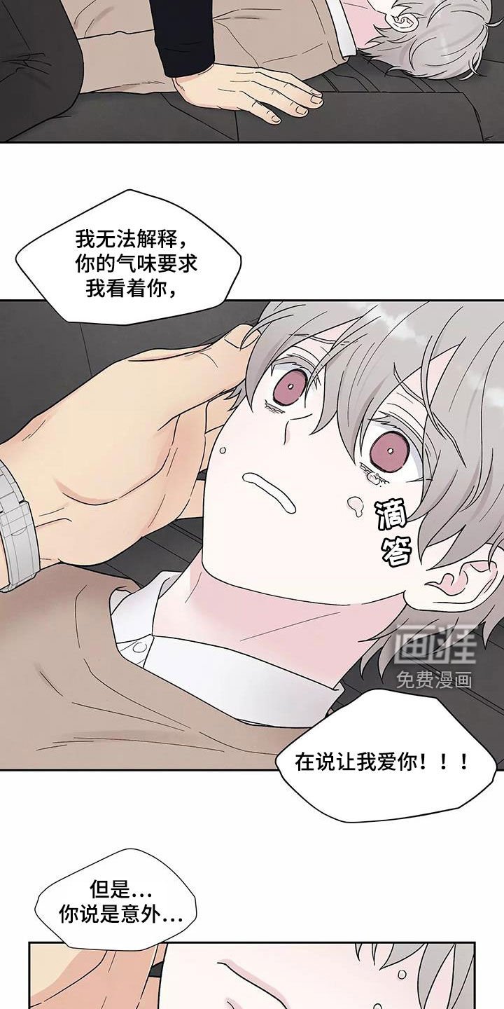 第35章：气味