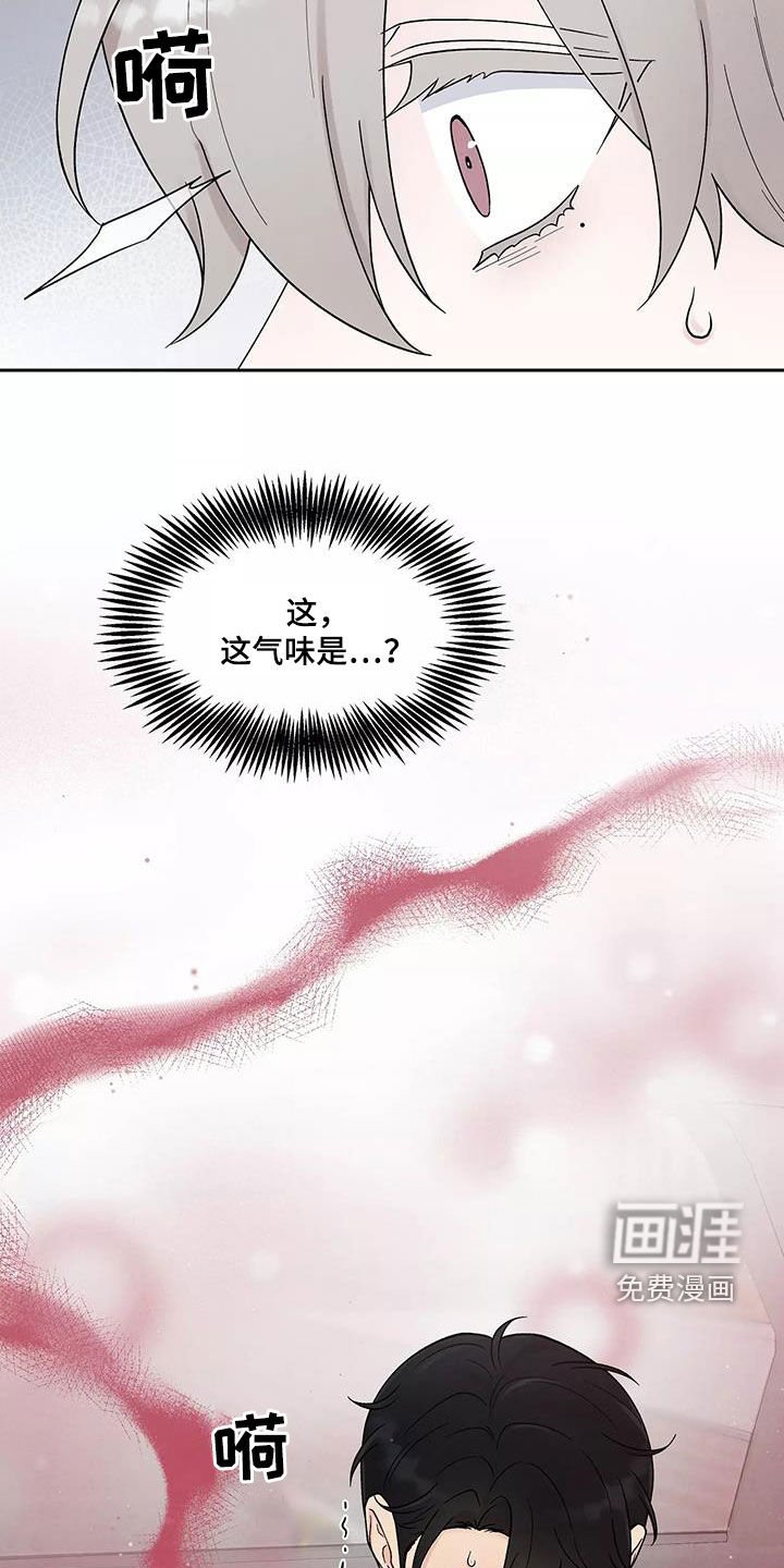 第35章：气味
