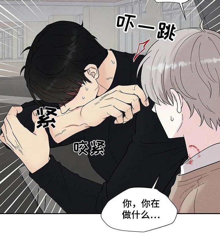 第36章：逃离