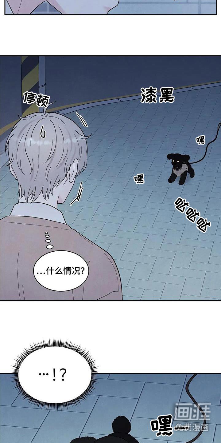 第41章：散步
