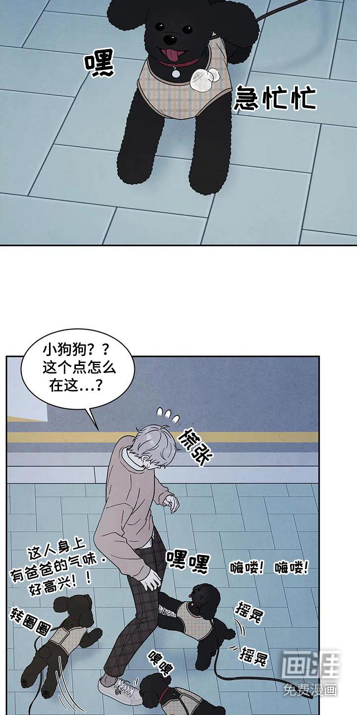 第41章：散步