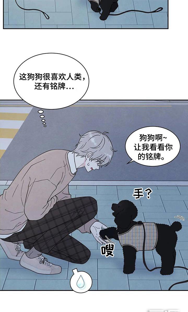 第41章：散步