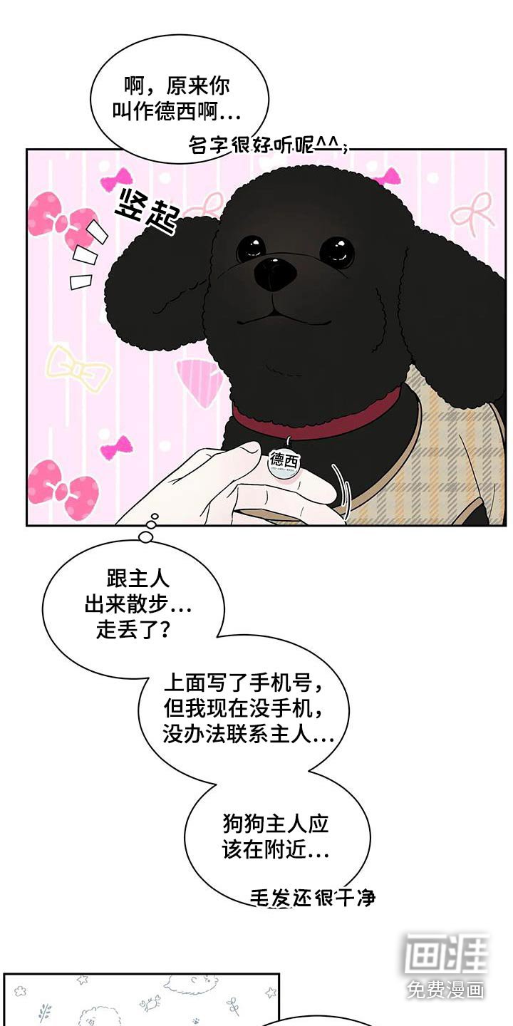第41章：散步