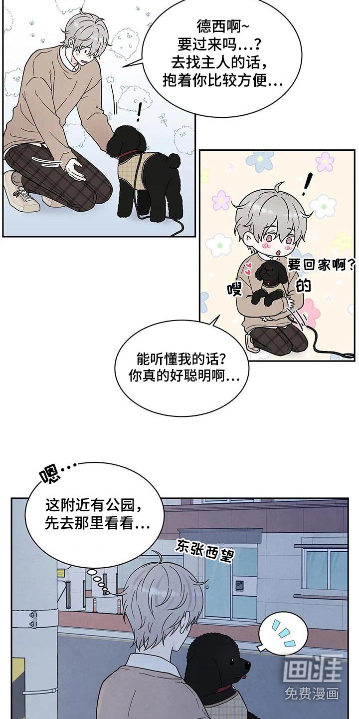 第41章：散步