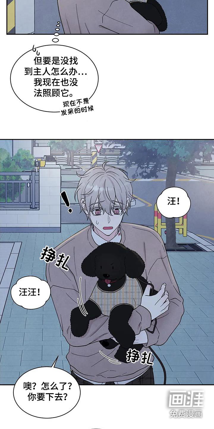 第41章：散步