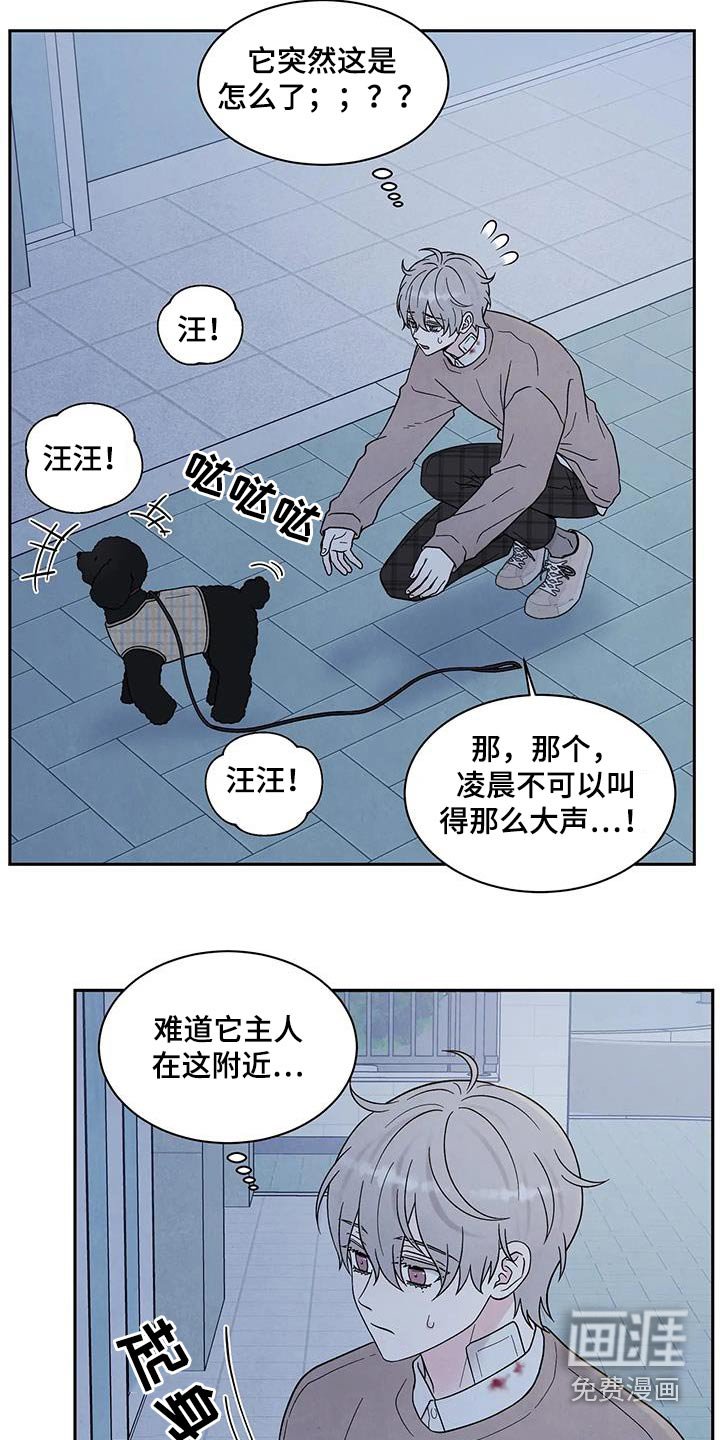 第41章：散步