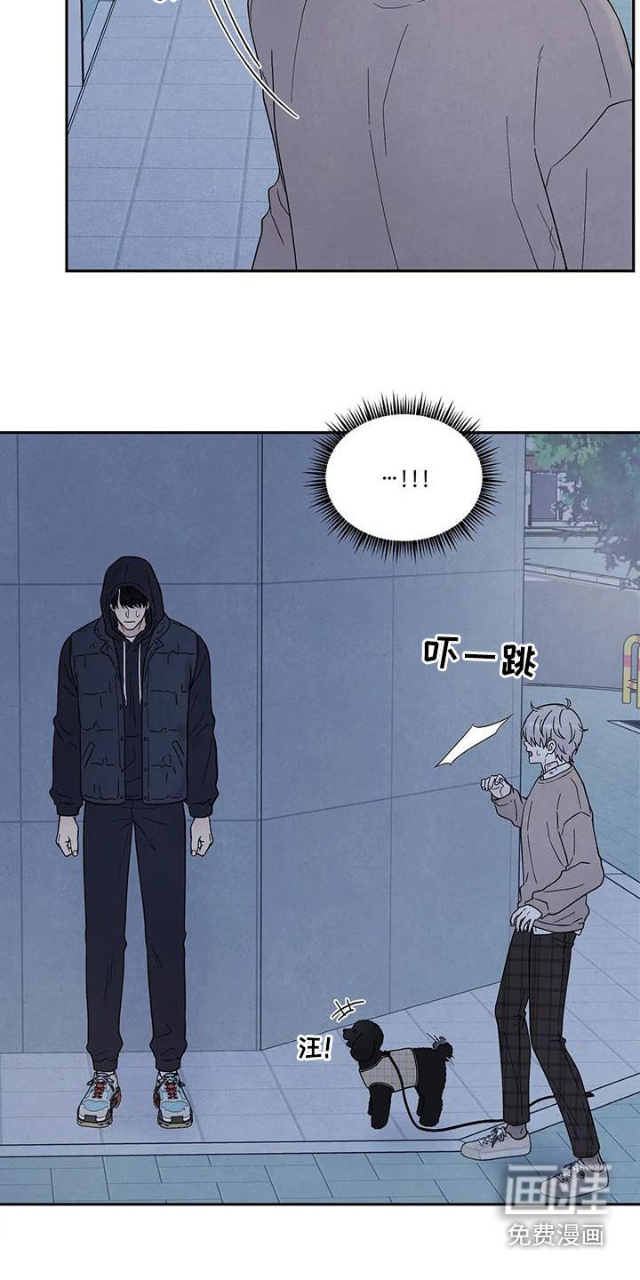 第41章：散步