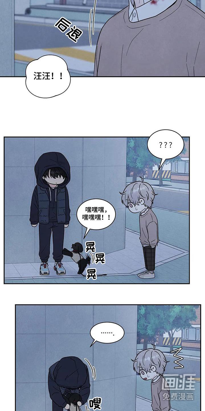 第41章：散步