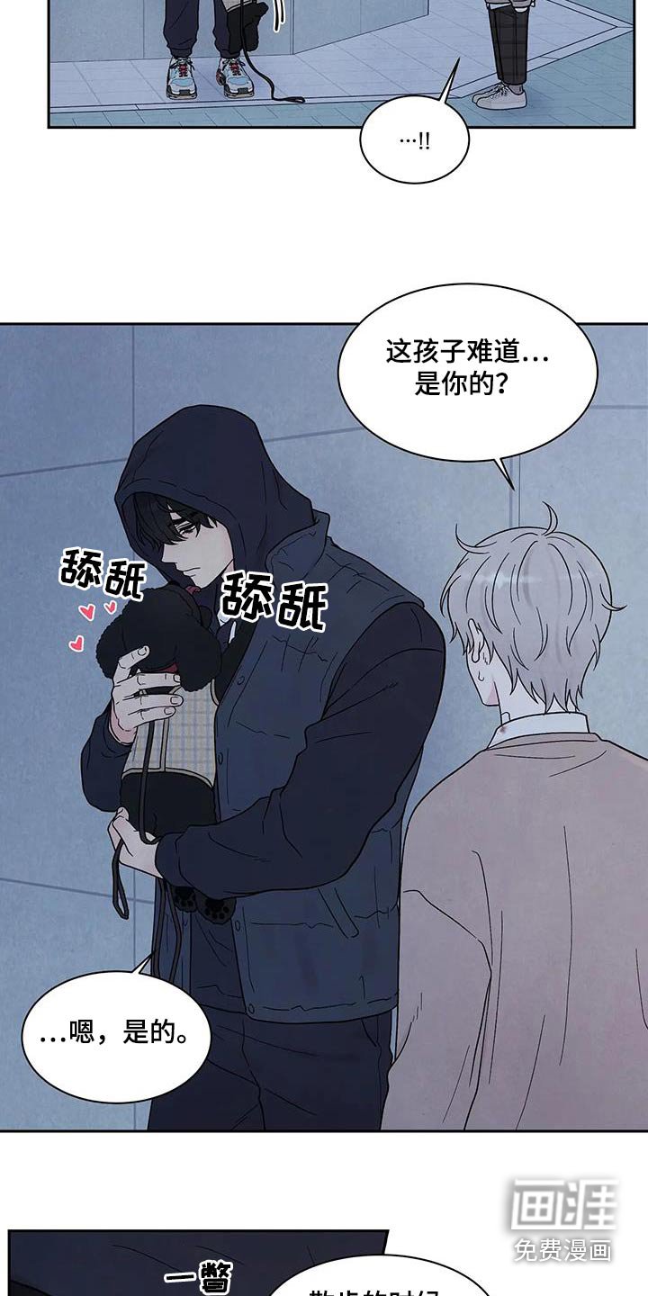 第41章：散步