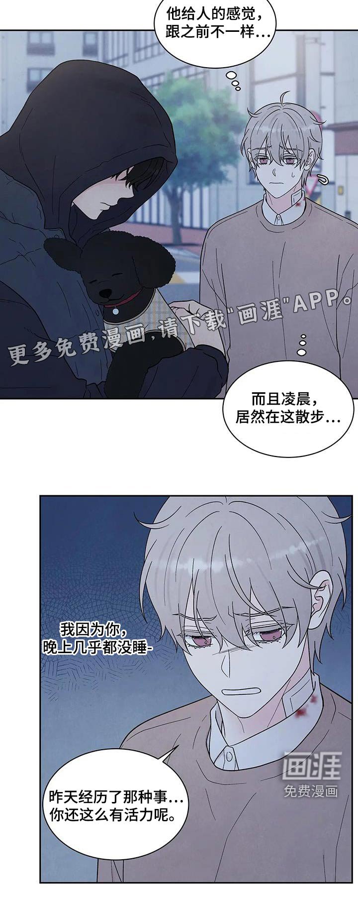第41章：散步