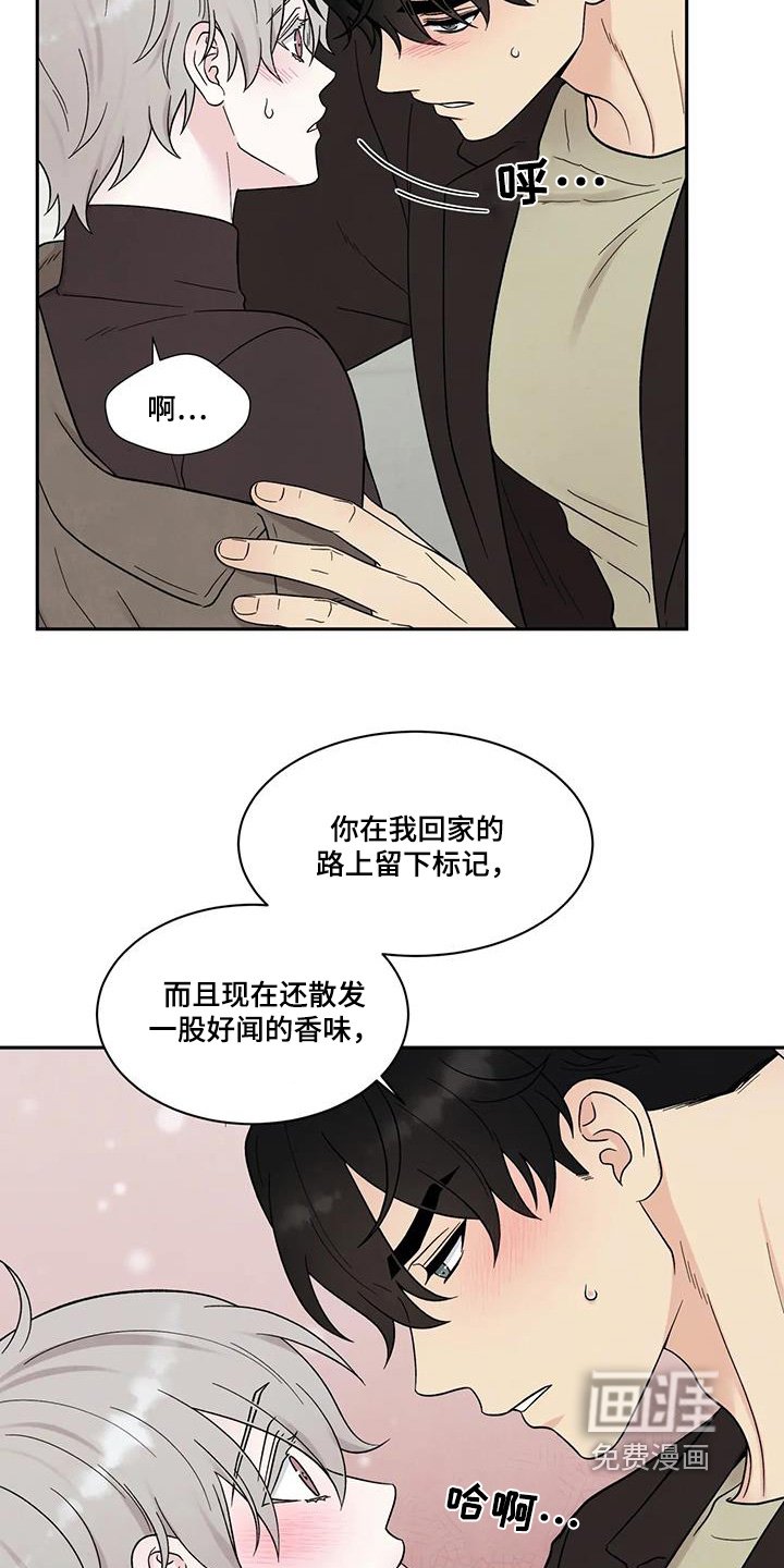第56章：忘记密码