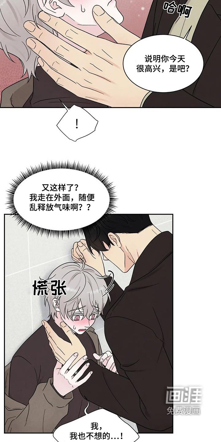 第56章：忘记密码