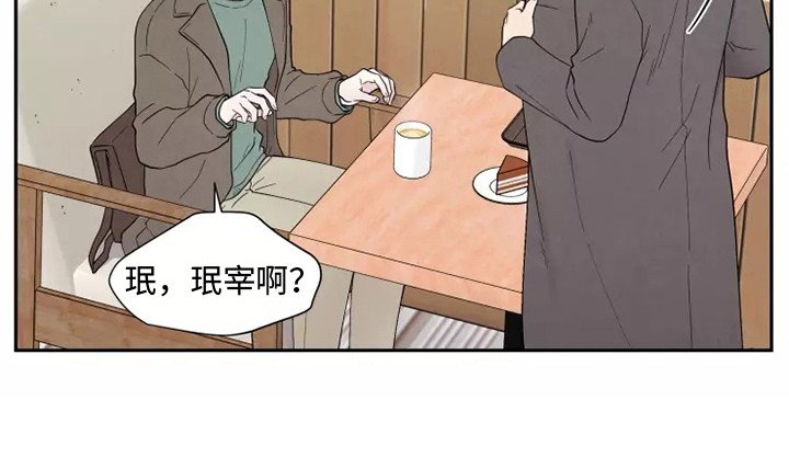 第7章：出主意