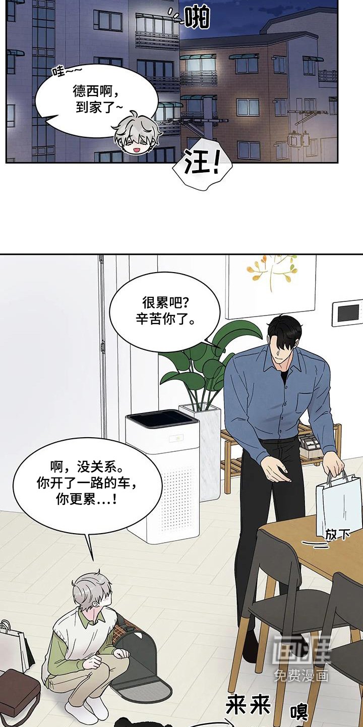 第71章：狗子