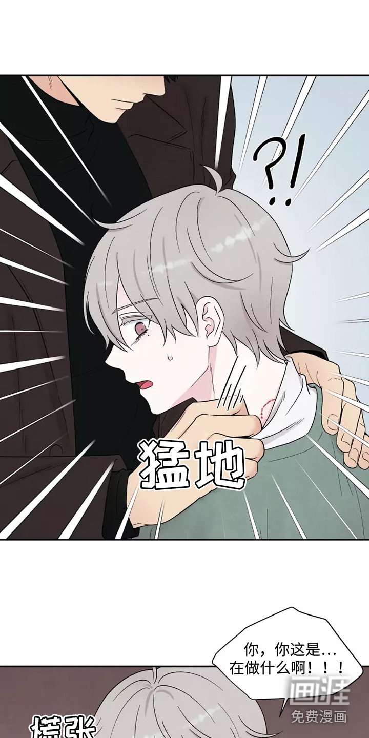 第9章：标记