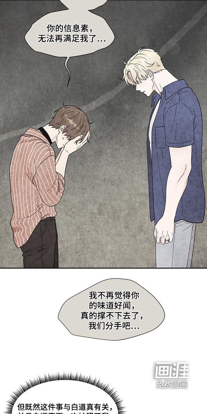 第91章：你们交往了