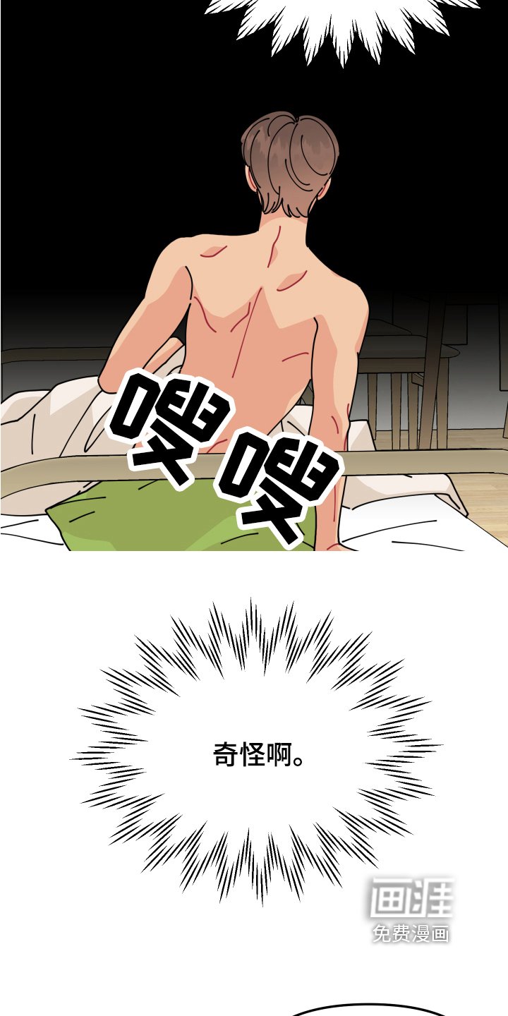 第23章：垃圾桶里的垃圾：奇怪