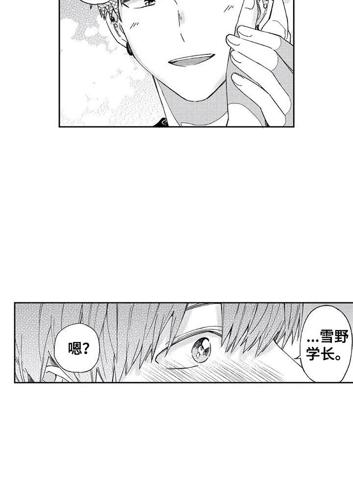 第5章：我真傻