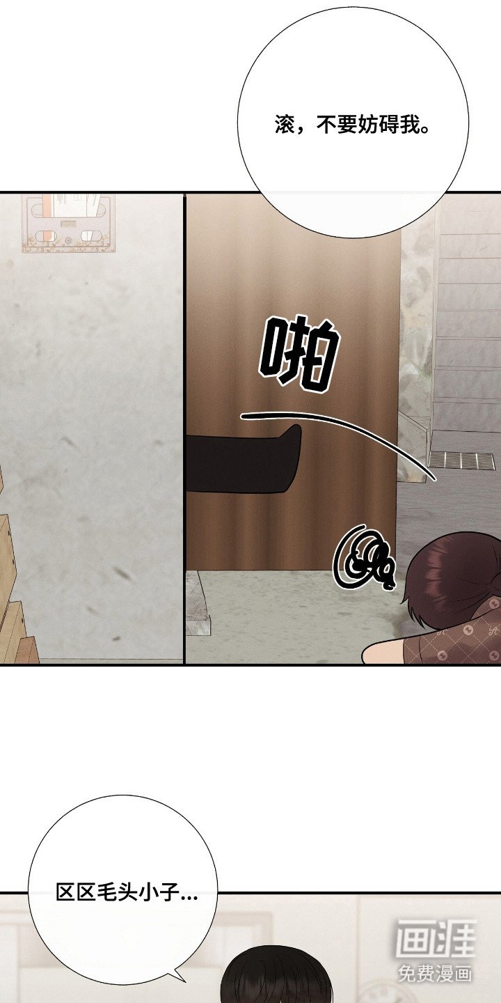 第13章：绿茶