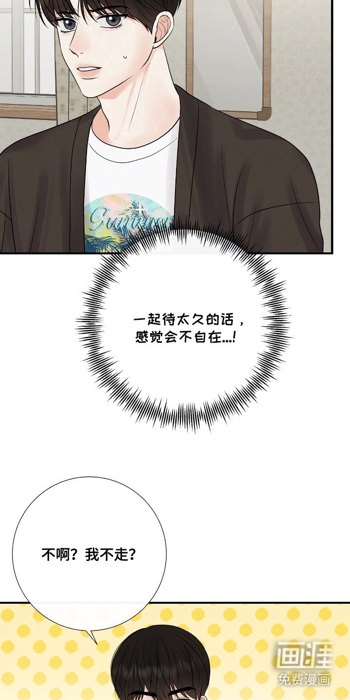 第13章：绿茶