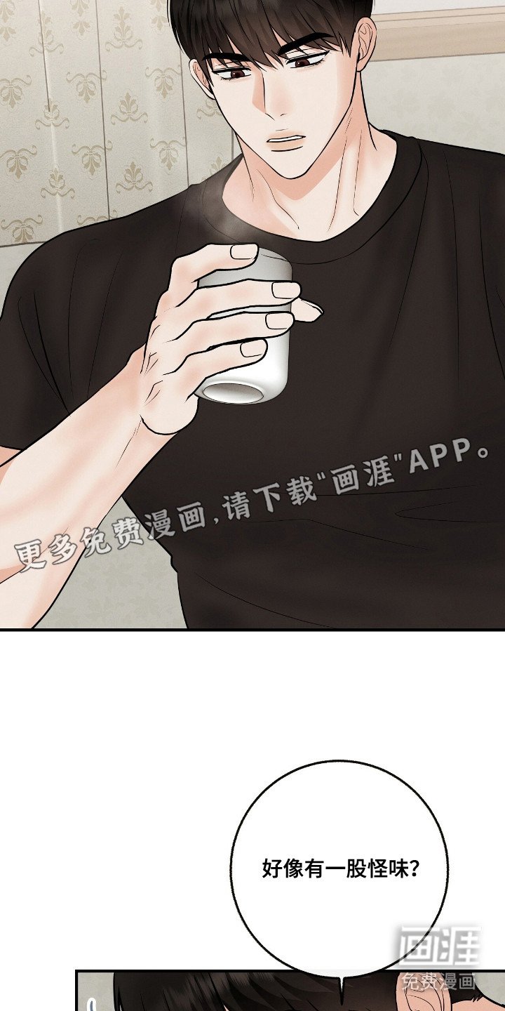 第13章：绿茶
