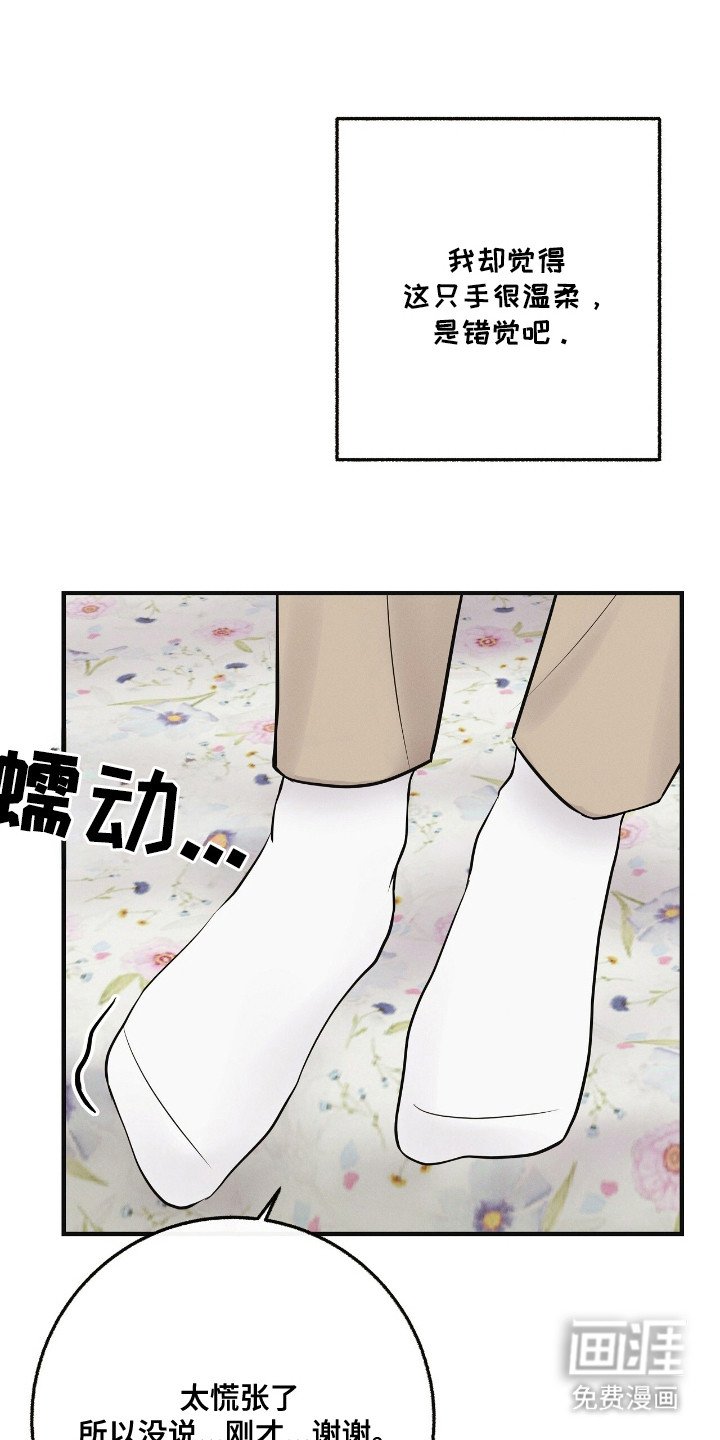 第14章：错觉