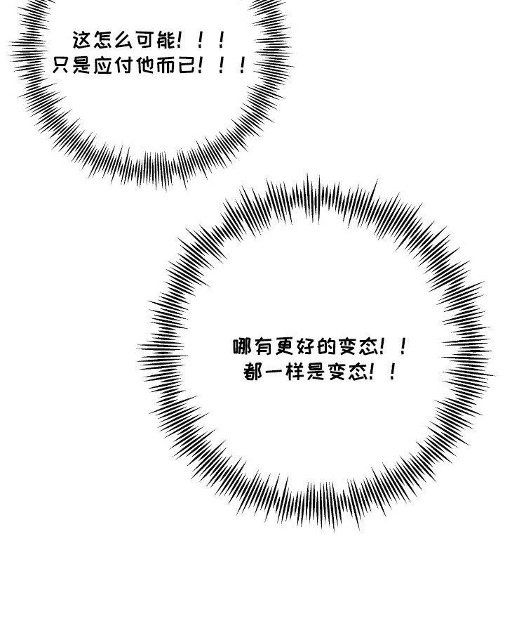 第14章：错觉