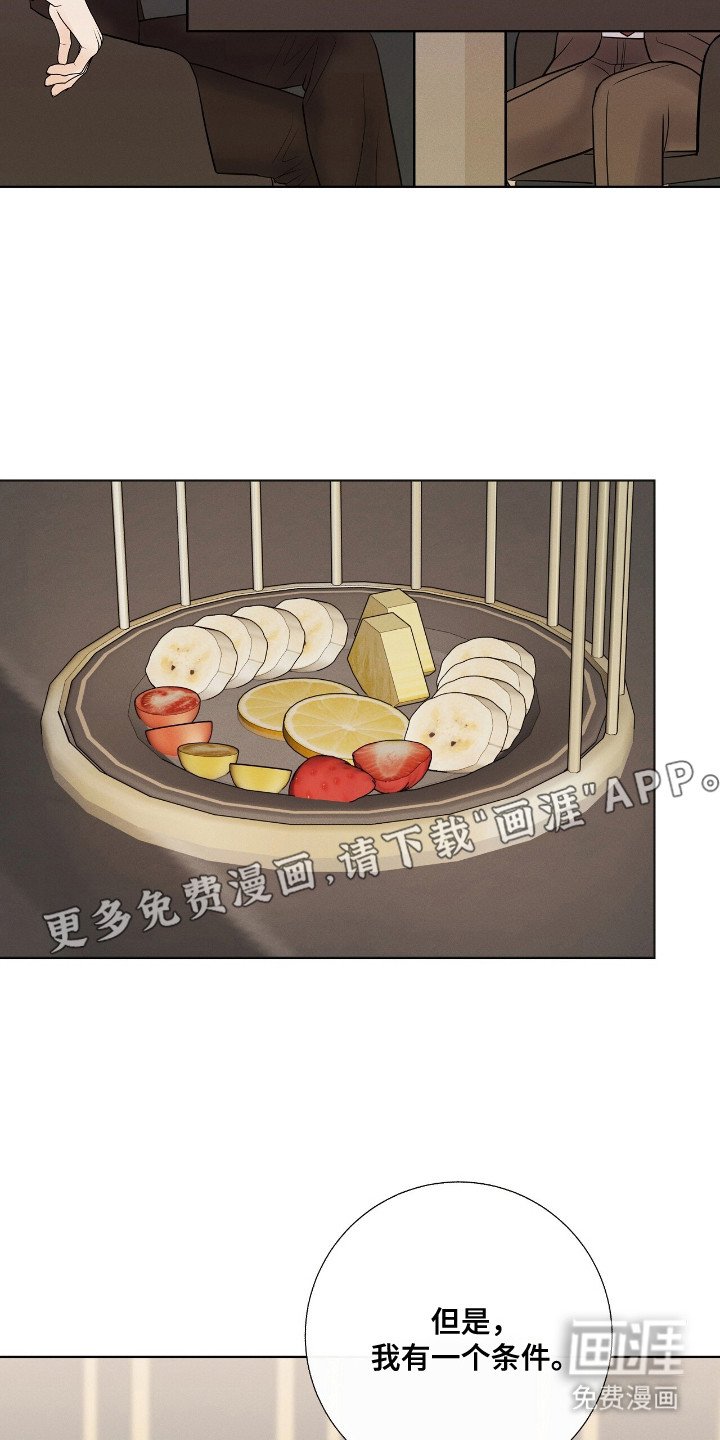第19章：合作的条件