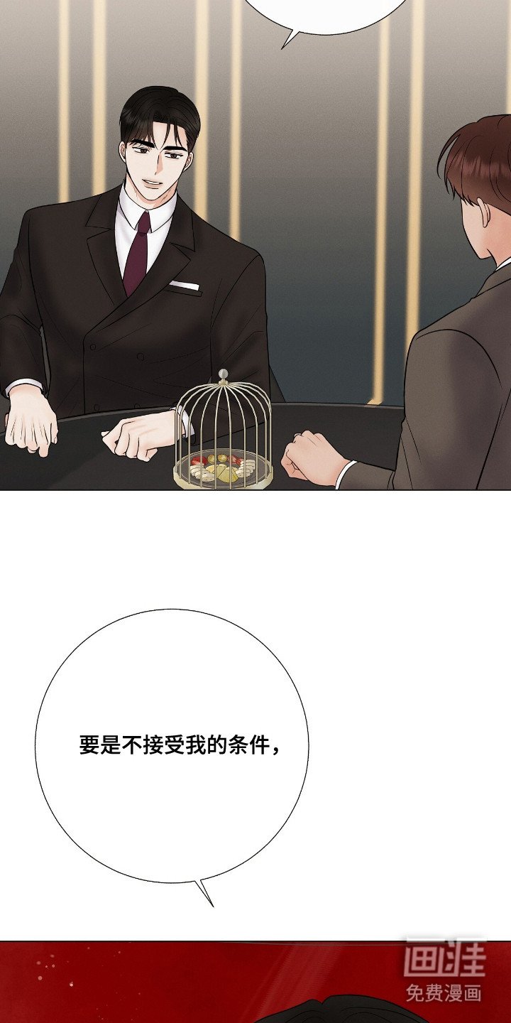 第19章：合作的条件