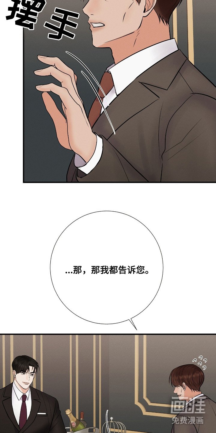 第19章：合作的条件