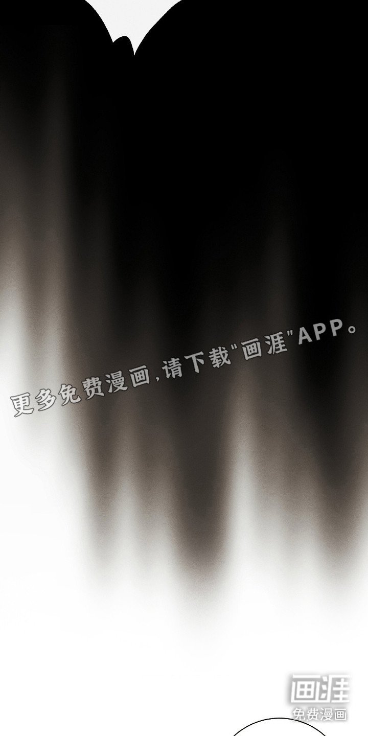 第22章：粉丝