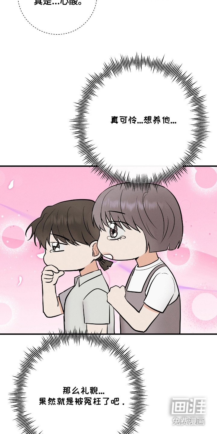 第22章：粉丝