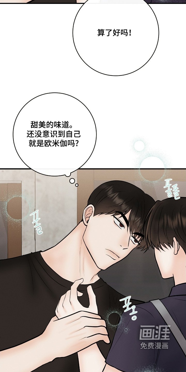 第25章：多少钱