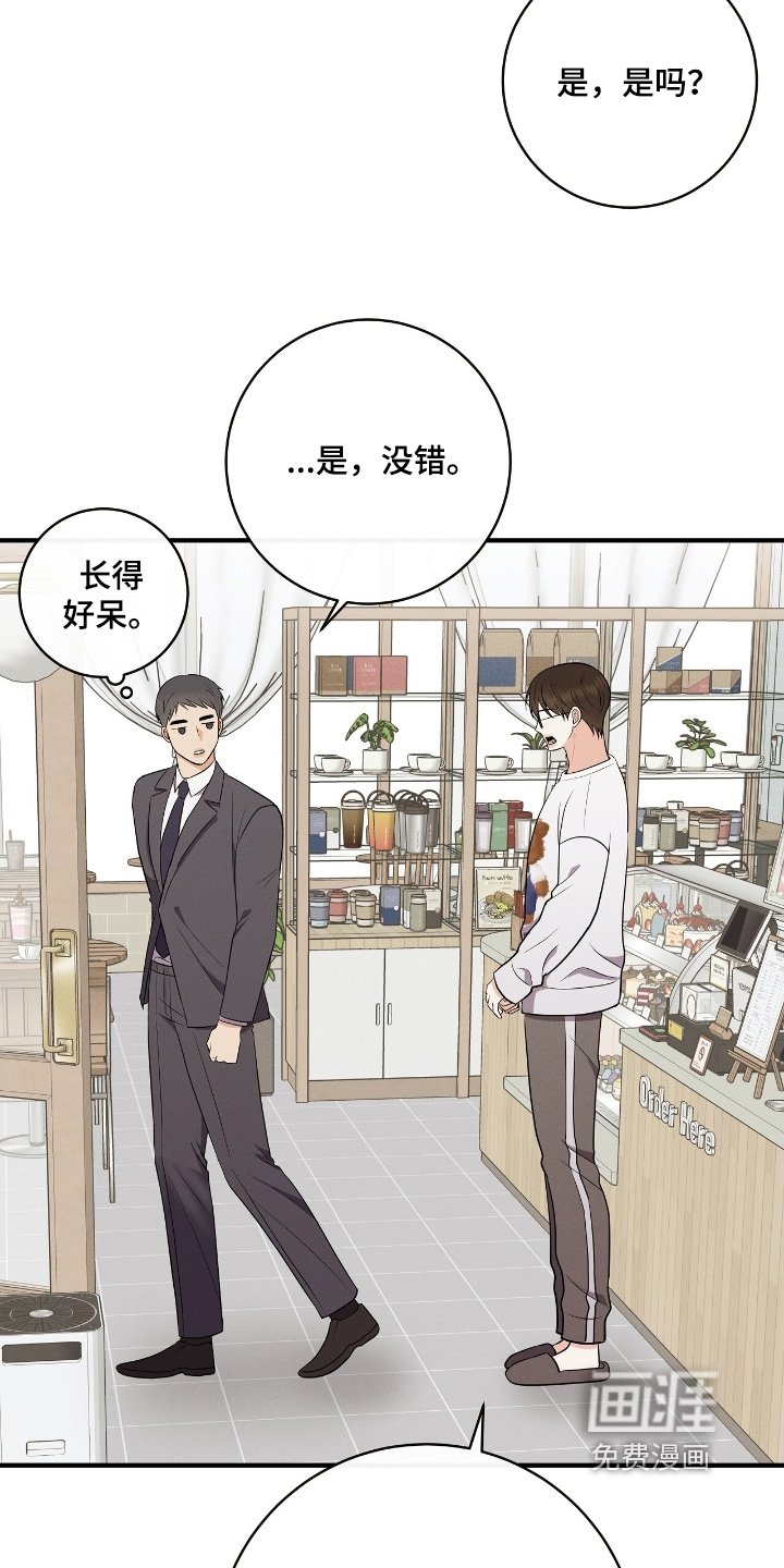 第29章：赶紧道歉