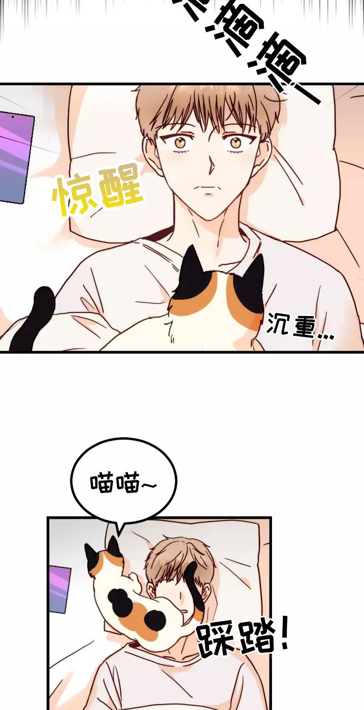 第1章：糟糕的梦