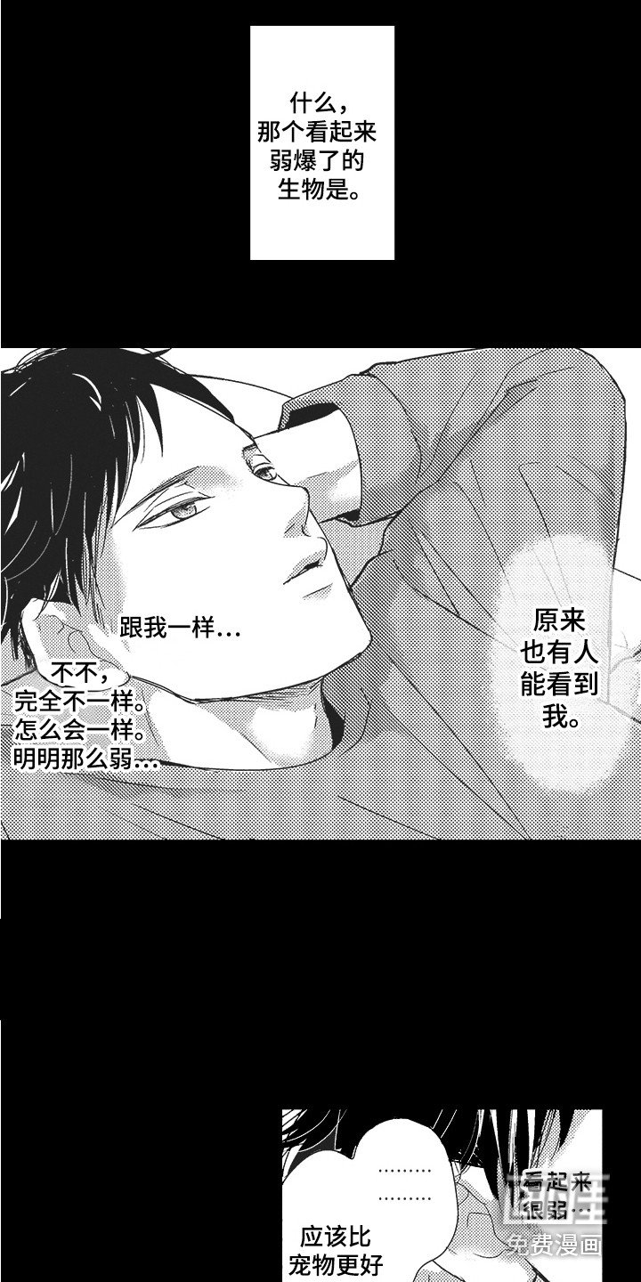 第19章：期待