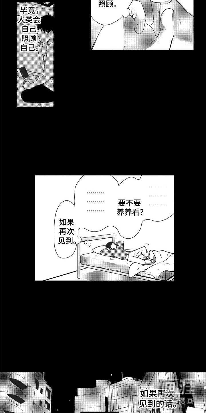 第19章：期待