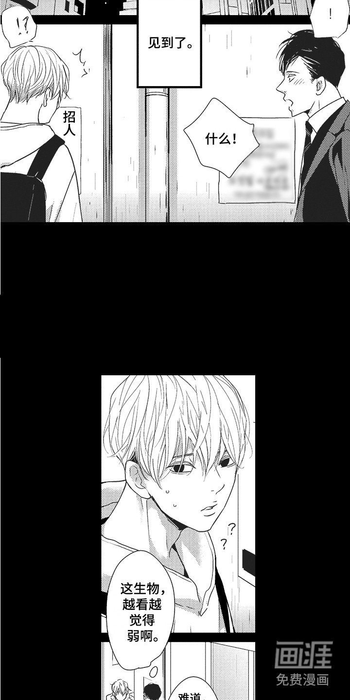 第19章：期待
