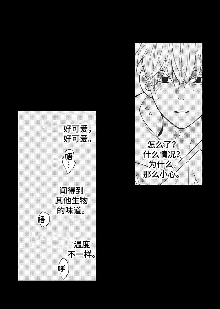 第19章：期待